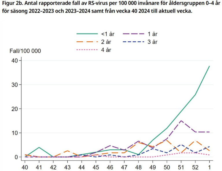 RSV ökar nu snabbt hos de yngsta och de äldsta